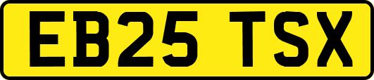 EB25TSX