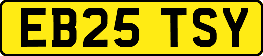 EB25TSY
