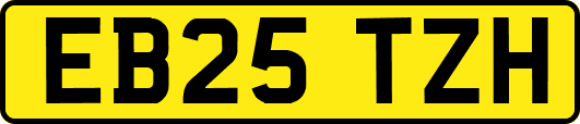 EB25TZH
