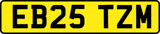 EB25TZM