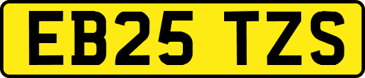 EB25TZS