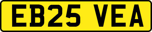 EB25VEA