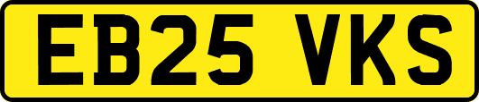 EB25VKS