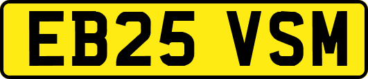 EB25VSM