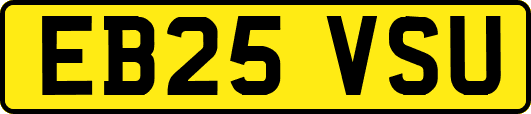 EB25VSU