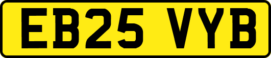 EB25VYB
