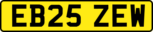 EB25ZEW