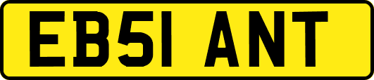 EB51ANT