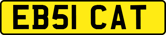 EB51CAT