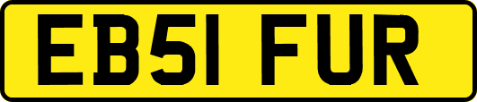 EB51FUR