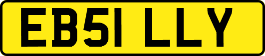 EB51LLY