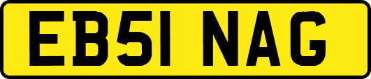 EB51NAG