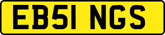 EB51NGS