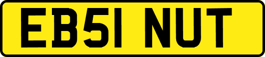 EB51NUT