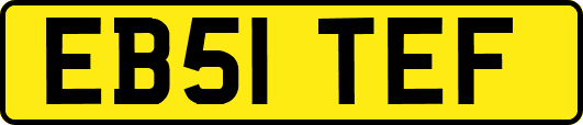 EB51TEF