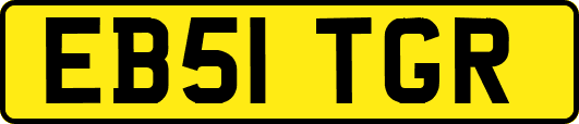 EB51TGR