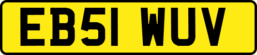 EB51WUV