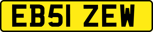 EB51ZEW