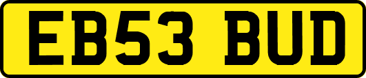 EB53BUD