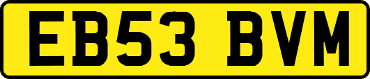 EB53BVM