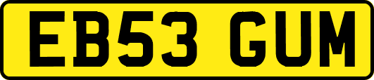 EB53GUM