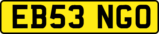 EB53NGO