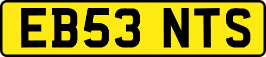 EB53NTS