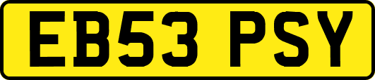 EB53PSY