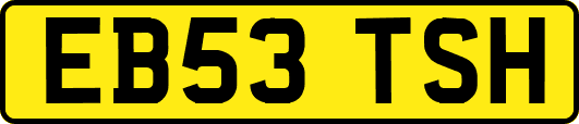 EB53TSH