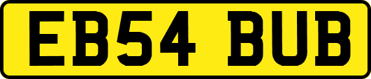EB54BUB