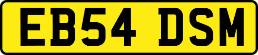 EB54DSM