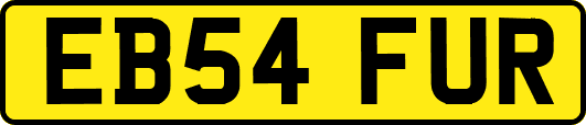 EB54FUR