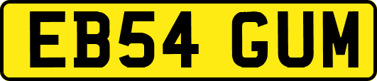 EB54GUM