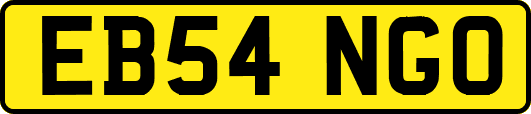 EB54NGO