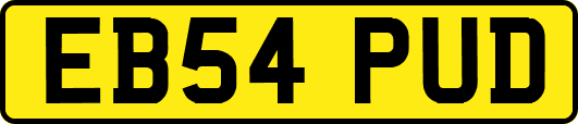EB54PUD