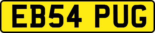 EB54PUG