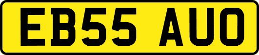 EB55AUO