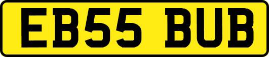 EB55BUB