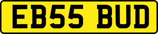 EB55BUD