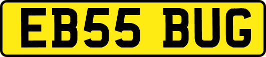 EB55BUG