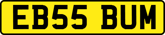 EB55BUM