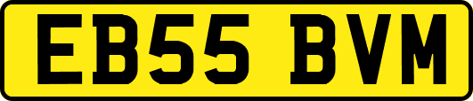 EB55BVM