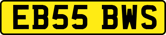 EB55BWS