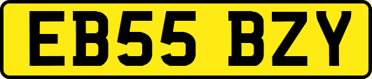 EB55BZY