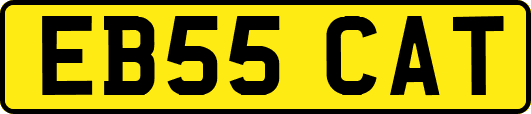 EB55CAT