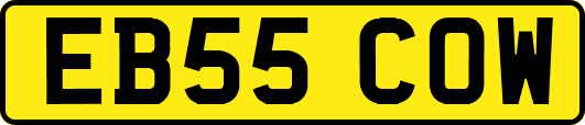 EB55COW