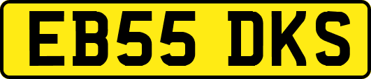 EB55DKS