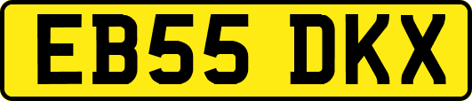 EB55DKX