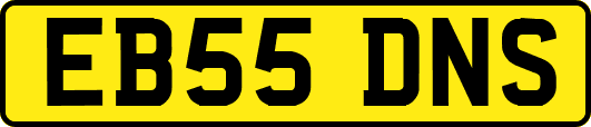 EB55DNS