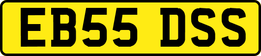 EB55DSS